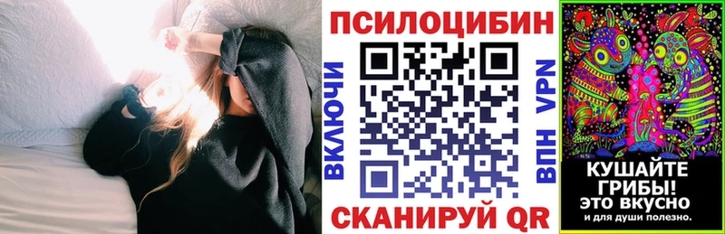 Галлюциногенные грибы Psilocybe  продажа наркотиков  Балей 